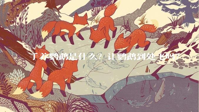 手养鹦鹉是什么？让鹦鹉到处飞吗？