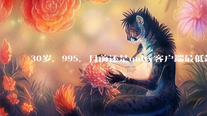 30岁，995，目前还是unity客户端最低端 ui拼图仔还有必要坚持吗?
