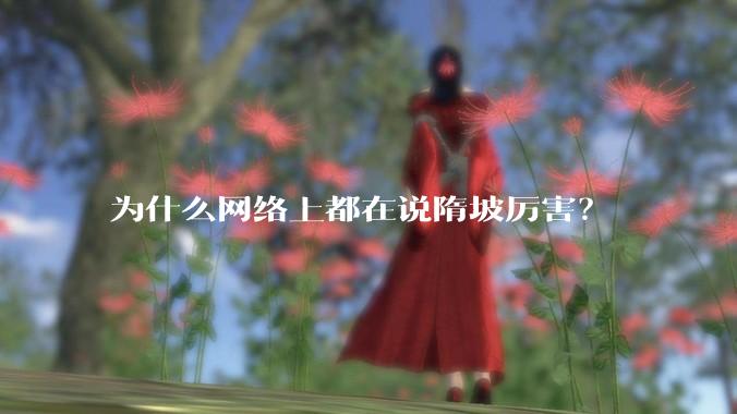 为什么网络上都在说隋坡厉害？